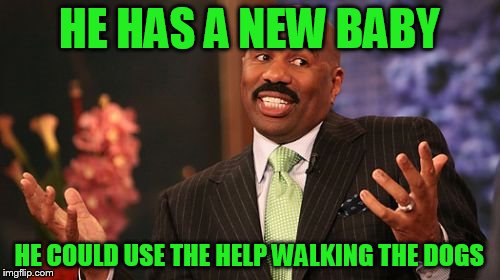 Steve Harvey Meme | HE HAS A NEW BABY HE COULD USE THE HELP WALKING THE DOGS | image tagged in memes,steve harvey | made w/ Imgflip meme maker