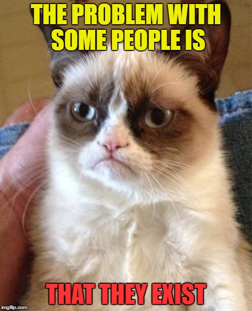 Grumpy Cat | THE PROBLEM WITH SOME PEOPLE IS; THAT THEY EXIST | image tagged in memes,grumpy cat | made w/ Imgflip meme maker