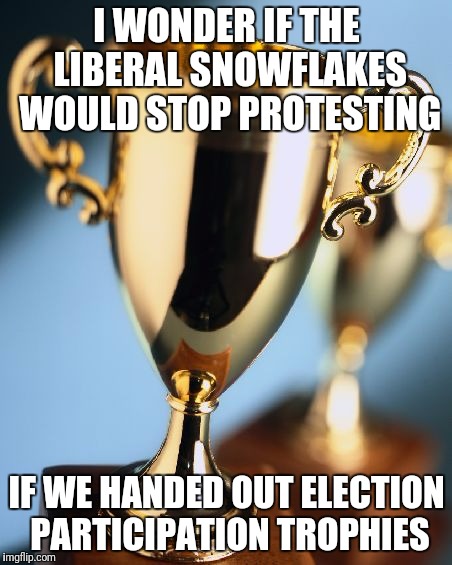 Hey, it worked when they were on the kids soccer team | I WONDER IF THE LIBERAL SNOWFLAKES WOULD STOP PROTESTING; IF WE HANDED OUT ELECTION PARTICIPATION TROPHIES | image tagged in trophy,liberals,retarded liberal protesters | made w/ Imgflip meme maker