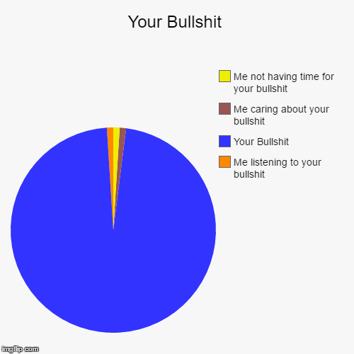 Bullshit Pie Chart | image tagged in funny,pie charts,bullshit | made w/ Imgflip chart maker