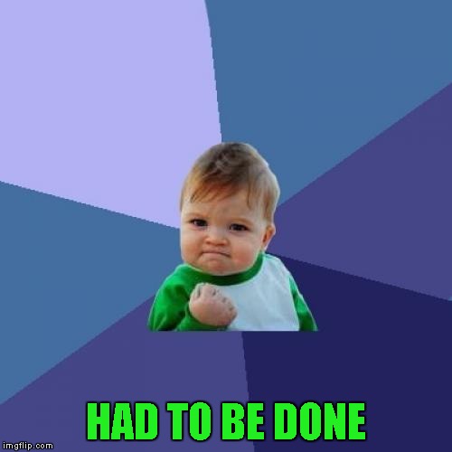 Success Kid Meme | HAD TO BE DONE | image tagged in memes,success kid | made w/ Imgflip meme maker