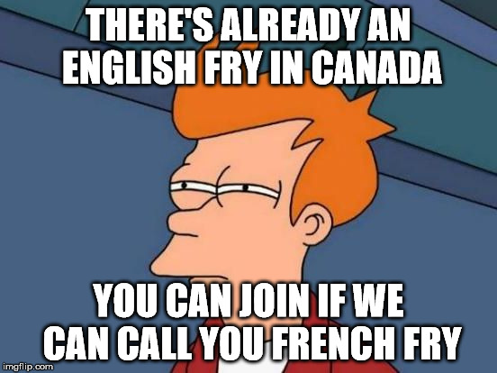 Futurama Fry Reverse | THERE'S ALREADY AN ENGLISH FRY IN CANADA YOU CAN JOIN IF WE CAN CALL YOU FRENCH FRY | image tagged in futurama fry reverse | made w/ Imgflip meme maker