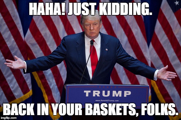 Donald Trump | HAHA! JUST KIDDING. BACK IN YOUR BASKETS, FOLKS. | image tagged in donald trump | made w/ Imgflip meme maker