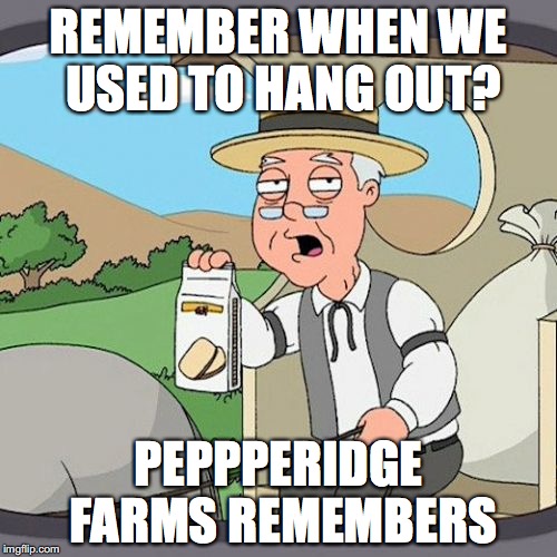 Pepperidge Farm Remembers Meme | REMEMBER WHEN WE USED TO HANG OUT? PEPPPERIDGE FARMS REMEMBERS | image tagged in memes,pepperidge farm remembers | made w/ Imgflip meme maker
