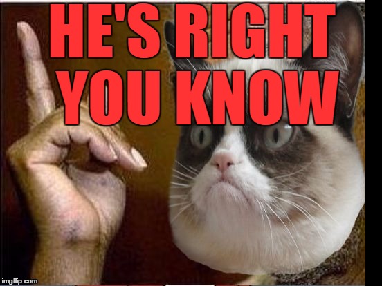 Grumpy Cat He's Right You Know | HE'S RIGHT YOU KNOW | image tagged in grumpy cat he's right you know | made w/ Imgflip meme maker