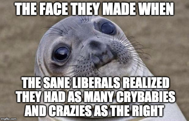 Both sides have that one uncle no one likes to talk too | THE FACE THEY MADE WHEN; THE SANE LIBERALS REALIZED THEY HAD AS MANY CRYBABIES AND CRAZIES AS THE RIGHT | image tagged in awkward moment sealion,left wing,right wing,donald trump,hillary clinton,bacon | made w/ Imgflip meme maker