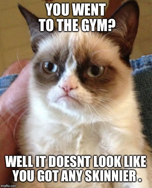 Grumpy Cat Meme | YOU WENT TO THE GYM? WELL IT DOESNT LOOK LIKE YOU GOT ANY SKINNIER . | image tagged in memes,grumpy cat | made w/ Imgflip meme maker