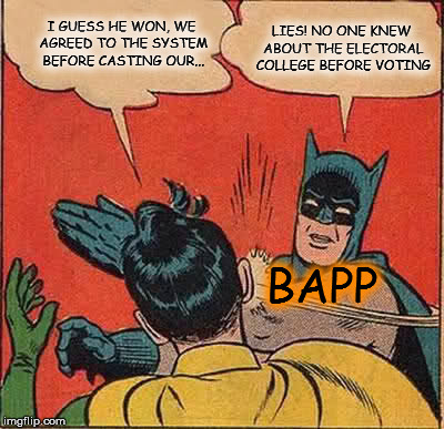 Batman Slapping Robin Meme | I GUESS HE WON, WE AGREED TO THE SYSTEM BEFORE CASTING OUR... LIES! NO ONE KNEW ABOUT THE ELECTORAL COLLEGE BEFORE VOTING BAPP | image tagged in memes,batman slapping robin | made w/ Imgflip meme maker