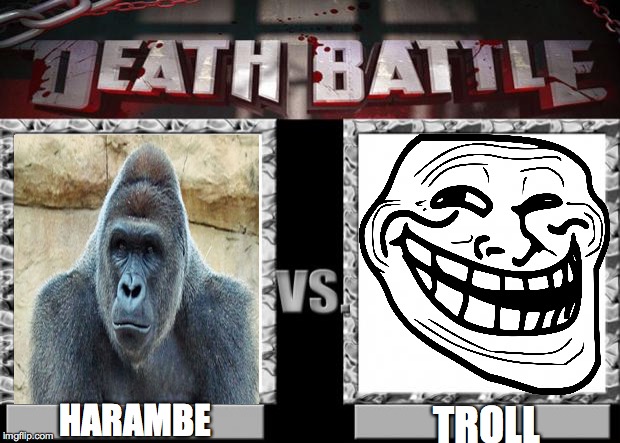 death battle | HARAMBE; TROLL | image tagged in death battle | made w/ Imgflip meme maker