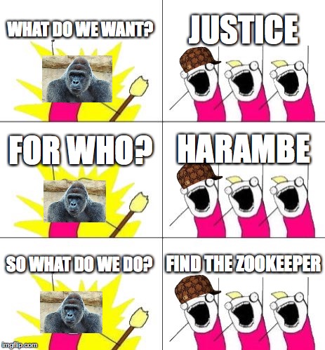 What Do We Want 3 Meme | WHAT DO WE WANT? JUSTICE; HARAMBE; FOR WHO? SO WHAT DO WE DO? FIND THE ZOOKEEPER | image tagged in memes,what do we want 3,scumbag | made w/ Imgflip meme maker
