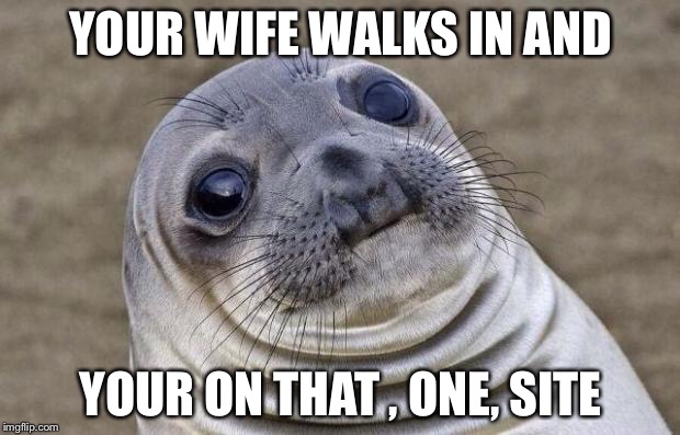 Awkward Moment Sealion | YOUR WIFE WALKS IN AND; YOUR ON THAT , ONE, SITE | image tagged in memes,awkward moment sealion | made w/ Imgflip meme maker