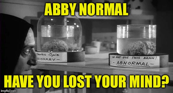 User name in your meme weekend | ABBY NORMAL; HAVE YOU LOST YOUR MIND? | image tagged in abby normal brain | made w/ Imgflip meme maker
