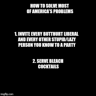Blank | HOW TO SOLVE MOST OF AMERICA'S PROBLEMS; 1. INVITE EVERY BUTTHURT LIBERAL AND EVERY OTHER STUPID/LAZY PERSON YOU KNOW TO A PARTY; 2. SERVE BLEACH COCKTAILS | image tagged in blank | made w/ Imgflip meme maker