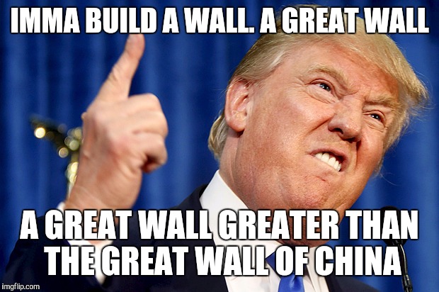Donald Trump | IMMA BUILD A WALL. A GREAT WALL; A GREAT WALL GREATER THAN THE GREAT WALL OF CHINA | image tagged in donald trump | made w/ Imgflip meme maker