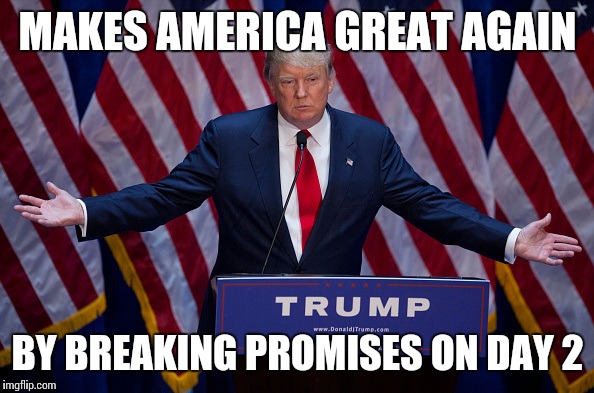 Donald Trump | MAKES AMERICA GREAT AGAIN; BY BREAKING PROMISES ON DAY 2 | image tagged in donald trump | made w/ Imgflip meme maker