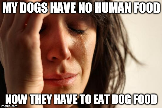 First World Problems | MY DOGS HAVE NO HUMAN FOOD; NOW THEY HAVE TO EAT DOG FOOD | image tagged in memes,first world problems | made w/ Imgflip meme maker