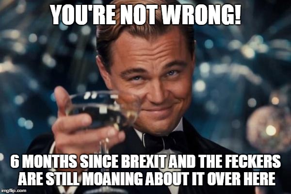 Leonardo Dicaprio Cheers Meme | YOU'RE NOT WRONG! 6 MONTHS SINCE BREXIT AND THE FECKERS ARE STILL MOANING ABOUT IT OVER HERE | image tagged in memes,leonardo dicaprio cheers | made w/ Imgflip meme maker