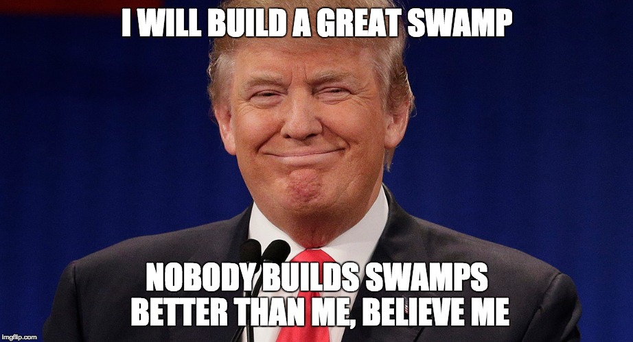 Swamp Salesman | I WILL BUILD A GREAT SWAMP; NOBODY BUILDS SWAMPS BETTER THAN ME, BELIEVE ME | image tagged in donald trump,swamp,trump,president,america,usa | made w/ Imgflip meme maker