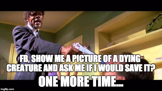 say it one more time | FB, SHOW ME A PICTURE OF A DYING CREATURE AND ASK ME IF I WOULD SAVE IT? ONE MORE TIME... | image tagged in say it one more time | made w/ Imgflip meme maker