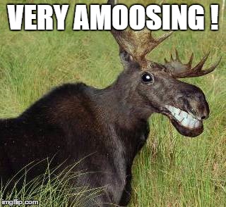 VERY AMOOSING ! | made w/ Imgflip meme maker