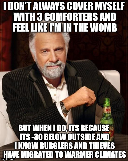 The Most Interesting Man In The World Meme | I DON'T ALWAYS COVER MYSELF WITH 3 COMFORTERS AND FEEL LIKE I'M IN THE WOMB BUT WHEN I DO, ITS BECAUSE ITS -30 BELOW OUTSIDE AND I KNOW BURG | image tagged in memes,the most interesting man in the world | made w/ Imgflip meme maker