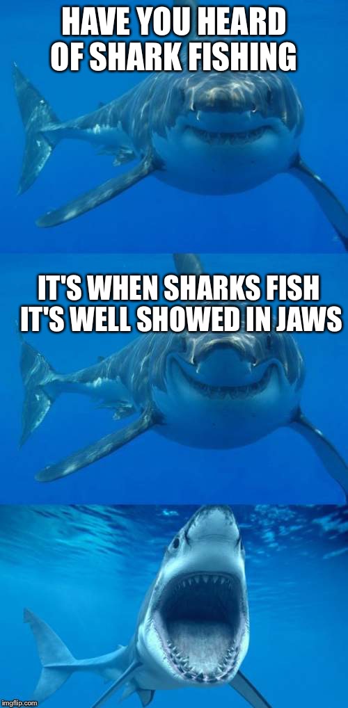It's in a MOVIE  | HAVE YOU HEARD OF SHARK FISHING; IT'S WHEN SHARKS FISH IT'S WELL SHOWED IN JAWS | image tagged in bad shark pun,jaws,fishing,scuba diving | made w/ Imgflip meme maker