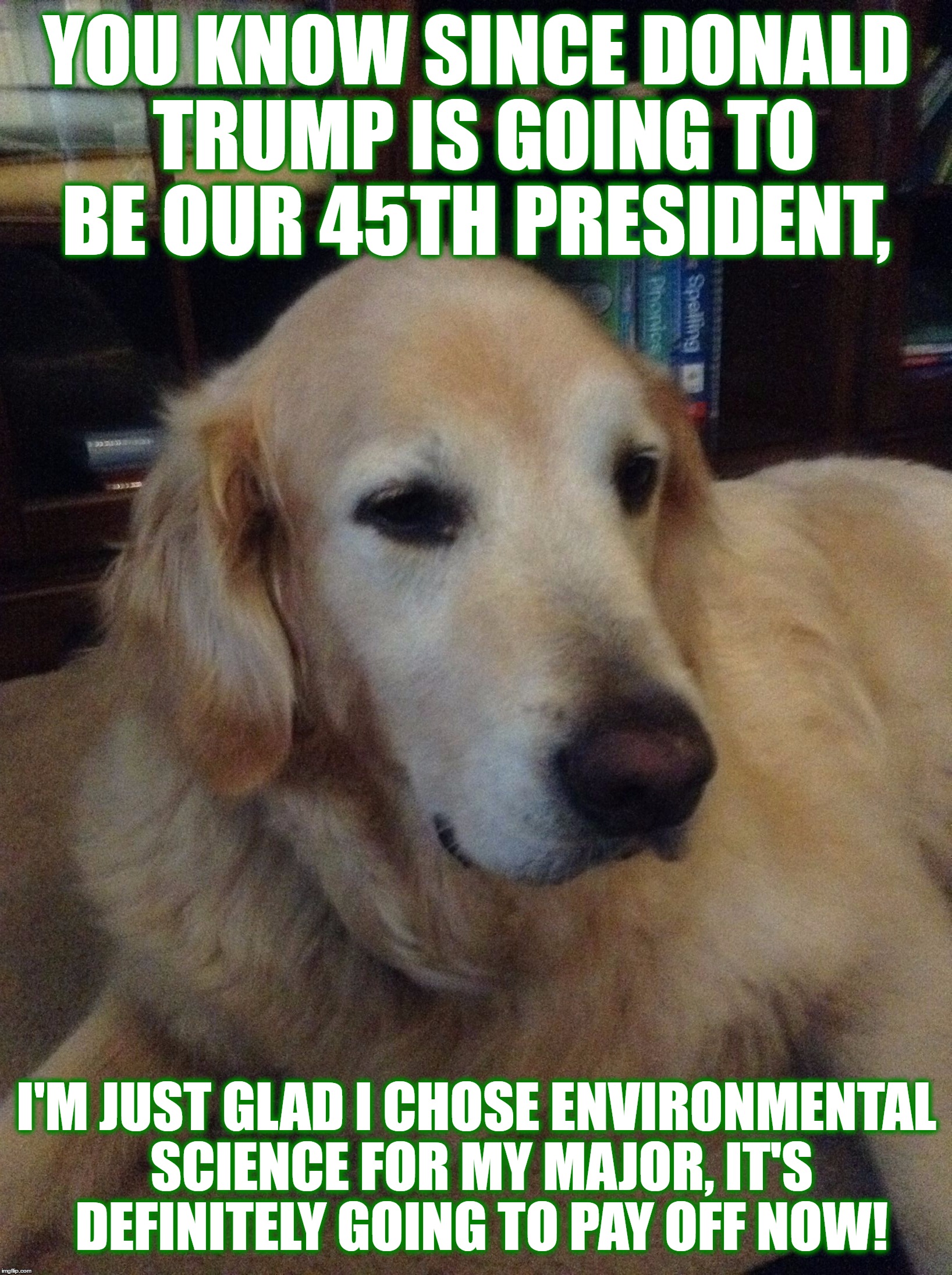 Overly Critical Dog | Template By Angrymonkey | YOU KNOW SINCE DONALD TRUMP IS GOING TO BE OUR 45TH PRESIDENT, I'M JUST GLAD I CHOSE ENVIRONMENTAL SCIENCE FOR MY MAJOR, IT'S DEFINITELY GOING TO PAY OFF NOW! | image tagged in overly critical dog,memes,truth,environmental,science,funny | made w/ Imgflip meme maker