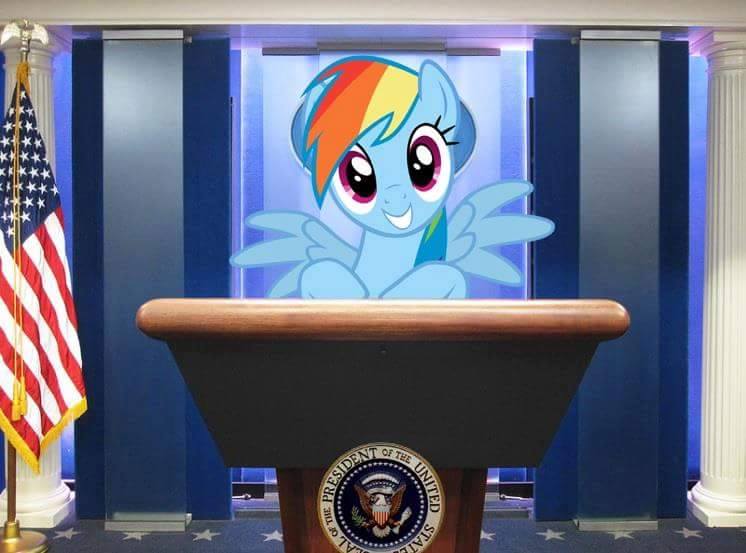 Rainbow Dash Politics Blank Meme Template