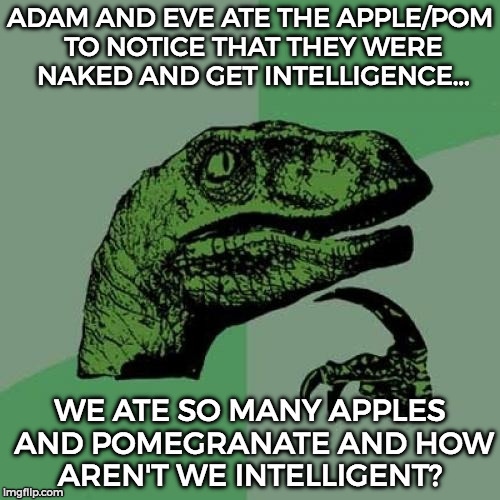 Philosoraptor | ADAM AND EVE ATE THE APPLE/POM TO NOTICE THAT THEY WERE NAKED AND GET INTELLIGENCE... WE ATE SO MANY APPLES AND POMEGRANATE AND HOW AREN'T WE INTELLIGENT? | image tagged in memes,philosoraptor | made w/ Imgflip meme maker