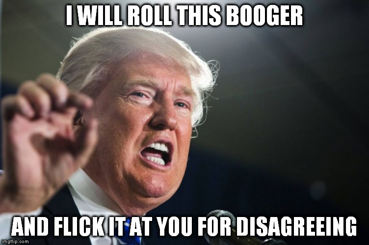 Don't Disagree with the Don. He has his tactics.... | I WILL ROLL THIS BOOGER; AND FLICK IT AT YOU FOR DISAGREEING | image tagged in donald trump | made w/ Imgflip meme maker
