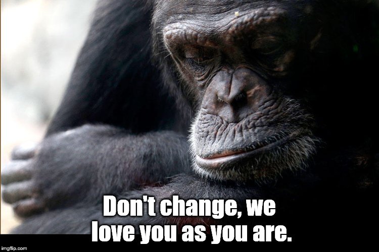 Koko | Don't change, we love you as you are. | image tagged in koko | made w/ Imgflip meme maker