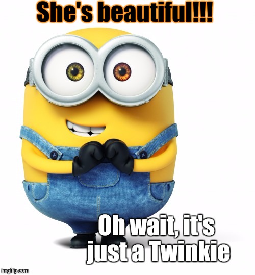 Good Luck | She's beautiful!!! Oh wait, it's just a Twinkie | image tagged in good luck | made w/ Imgflip meme maker