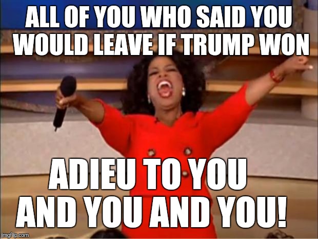 Oprah You Get A Meme | ALL OF YOU WHO SAID YOU WOULD LEAVE IF TRUMP WON; ADIEU TO YOU AND YOU AND YOU! | image tagged in memes,oprah you get a | made w/ Imgflip meme maker