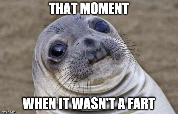 Awkward Moment Sealion Meme | THAT MOMENT; WHEN IT WASN'T A FART | image tagged in memes,awkward moment sealion | made w/ Imgflip meme maker