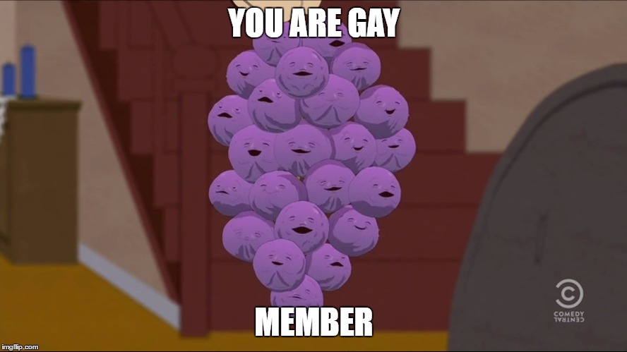 Member Berries | YOU ARE GAY; MEMBER | image tagged in memes,member berries | made w/ Imgflip meme maker