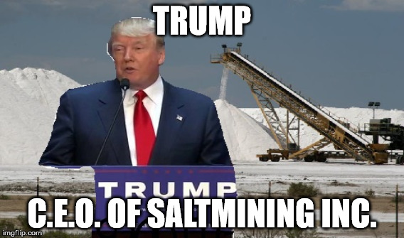 Trump Saltmining CEO | TRUMP; C.E.O. OF SALTMINING INC. | image tagged in donald trump,trump,salt,america,hillary clinton,hillary | made w/ Imgflip meme maker