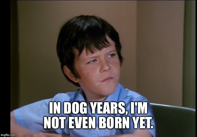 IN DOG YEARS, I'M NOT EVEN BORN YET. | made w/ Imgflip meme maker