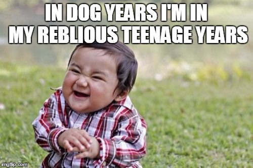 Evil Toddler Meme | IN DOG YEARS I'M IN MY REBLIOUS TEENAGE YEARS | image tagged in memes,evil toddler | made w/ Imgflip meme maker