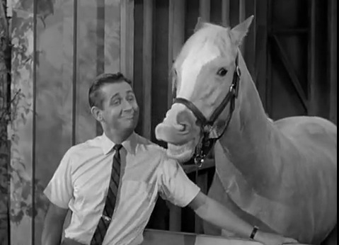 Mr. Ed Blank Meme Template