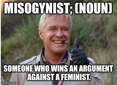 MISOGYNIST; (NOUN); SOMEONE WHO WINS AN ARGUMENT AGAINST A FEMINIST. | image tagged in hannibal | made w/ Imgflip meme maker