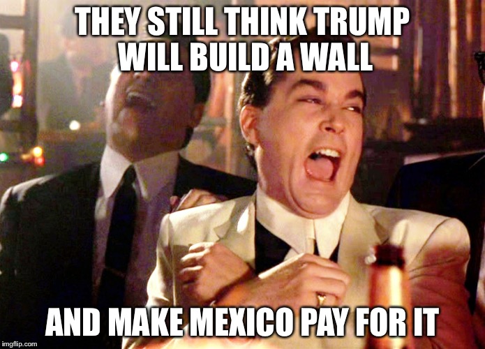 Good Fellas Hilarious Meme | THEY STILL THINK TRUMP WILL BUILD A WALL; AND MAKE MEXICO PAY FOR IT | image tagged in memes,good fellas hilarious | made w/ Imgflip meme maker