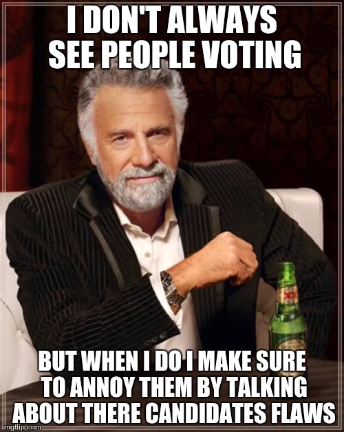 The Most Interesting Man In The World | I DON'T ALWAYS SEE PEOPLE VOTING; BUT WHEN I DO I MAKE SURE TO ANNOY THEM BY TALKING ABOUT THERE CANDIDATES FLAWS | image tagged in memes,the most interesting man in the world | made w/ Imgflip meme maker