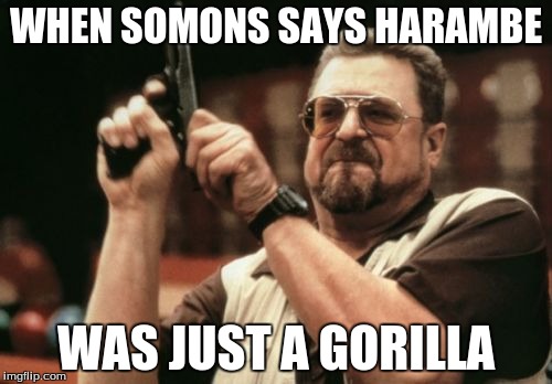 Am I The Only One Around Here Meme | WHEN SOMONS SAYS HARAMBE; WAS JUST A GORILLA | image tagged in memes,am i the only one around here | made w/ Imgflip meme maker