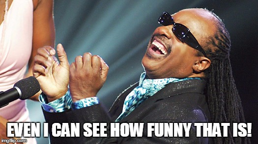 Stevie Wonder Laughing | EVEN I CAN SEE HOW FUNNY THAT IS! | image tagged in stevie wonder laughing | made w/ Imgflip meme maker
