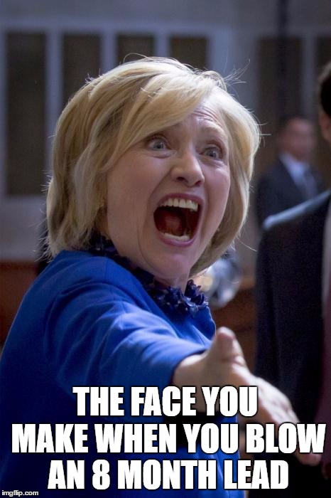 WTF Hillary | THE FACE YOU MAKE WHEN YOU BLOW AN 8 MONTH LEAD | image tagged in wtf hillary | made w/ Imgflip meme maker
