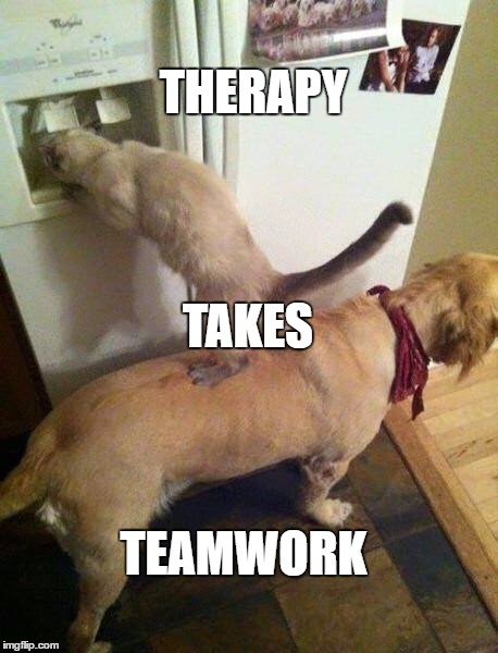 Team work | THERAPY; TAKES; TEAMWORK | image tagged in team work | made w/ Imgflip meme maker