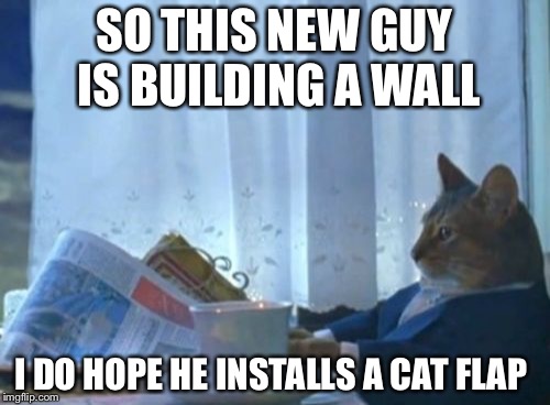 I Should Buy A Boat Cat | SO THIS NEW GUY IS BUILDING A WALL; I DO HOPE HE INSTALLS A CAT FLAP | image tagged in memes,i should buy a boat cat | made w/ Imgflip meme maker