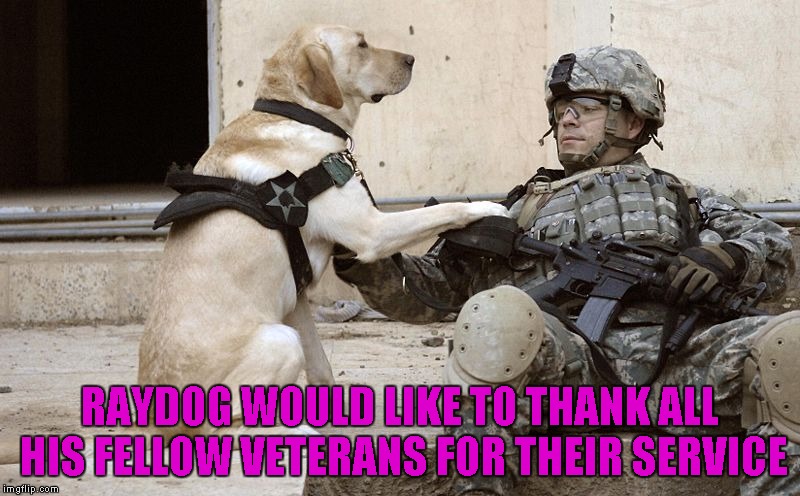 I know this is late, but I still wanted to get it out there.  Cheers to all my Brothers, young and old!!! | RAYDOG WOULD LIKE TO THANK ALL HIS FELLOW VETERANS FOR THEIR SERVICE | image tagged in dog veteran,memes,happy veterans day,thank you for your service,respect,freedom | made w/ Imgflip meme maker