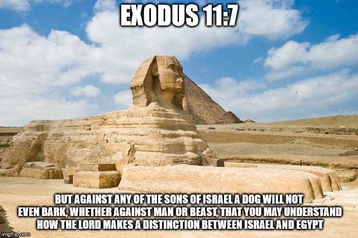 Exodus 11:7 | EXODUS 11:7; BUT AGAINST ANY OF THE SONS OF ISRAEL A DOG WILL NOT EVEN BARK, WHETHER AGAINST MAN OR BEAST, THAT YOU MAY UNDERSTAND HOW THE LORD MAKES A DISTINCTION BETWEEN ISRAEL AND EGYPT | image tagged in the great sphinx,dog | made w/ Imgflip meme maker