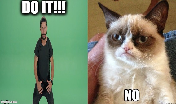 Grumpy Cat No Do It. | DO IT!!! | image tagged in do it,grumpy cat | made w/ Imgflip meme maker